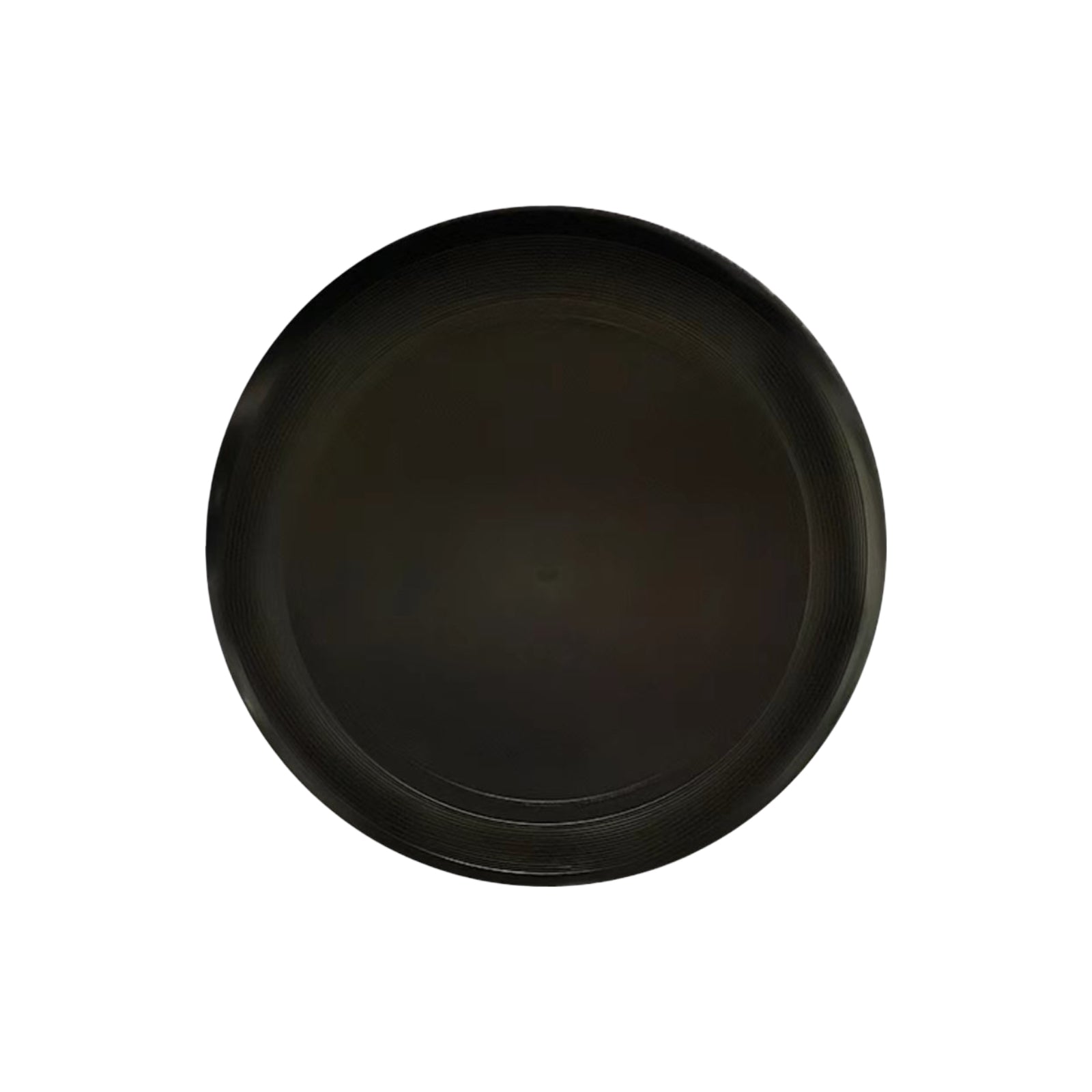 CFI01 PE Frisbee