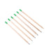 CPC05 2B Wood Sprout Pencil ♻️