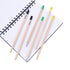 CPC05 2B Wood Sprout Pencil ♻️